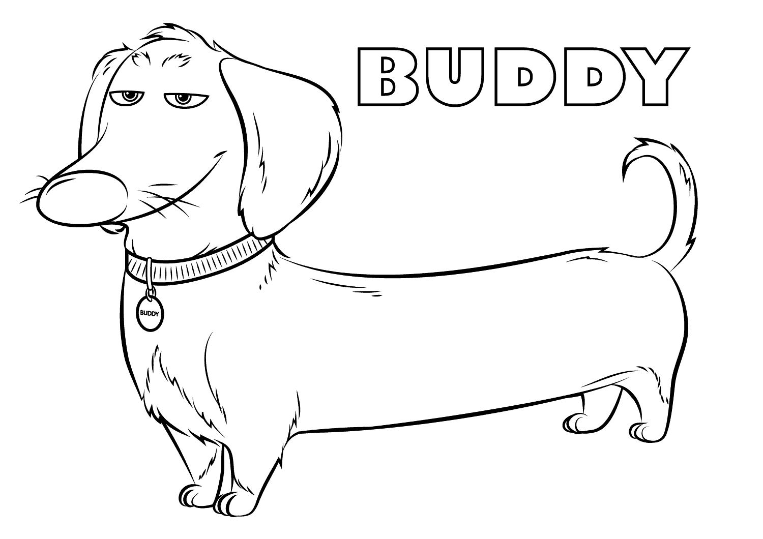 Desenho De Buddy Para Imprimir e Colorir