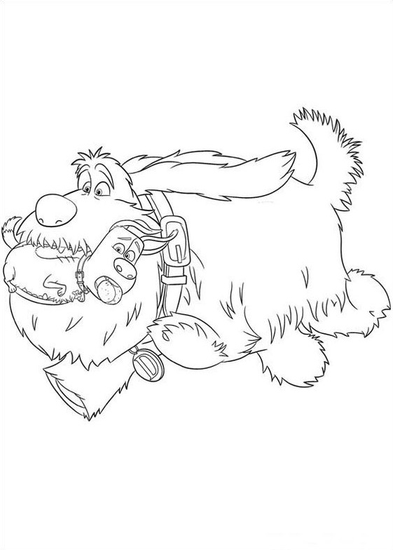 Desenho De Duke Correndo Para Imprimir e Colorir