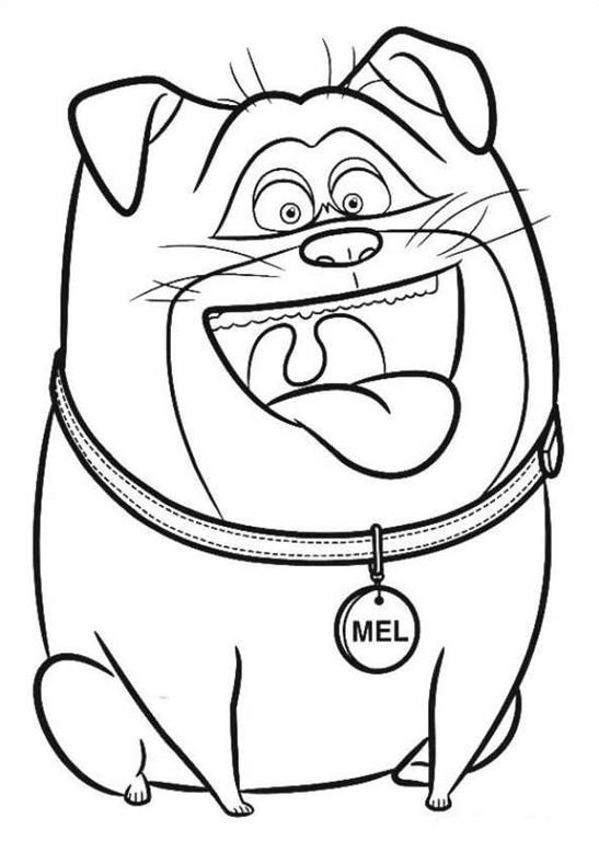 Desenho De Mel engraçado Para Imprimir e Colorir