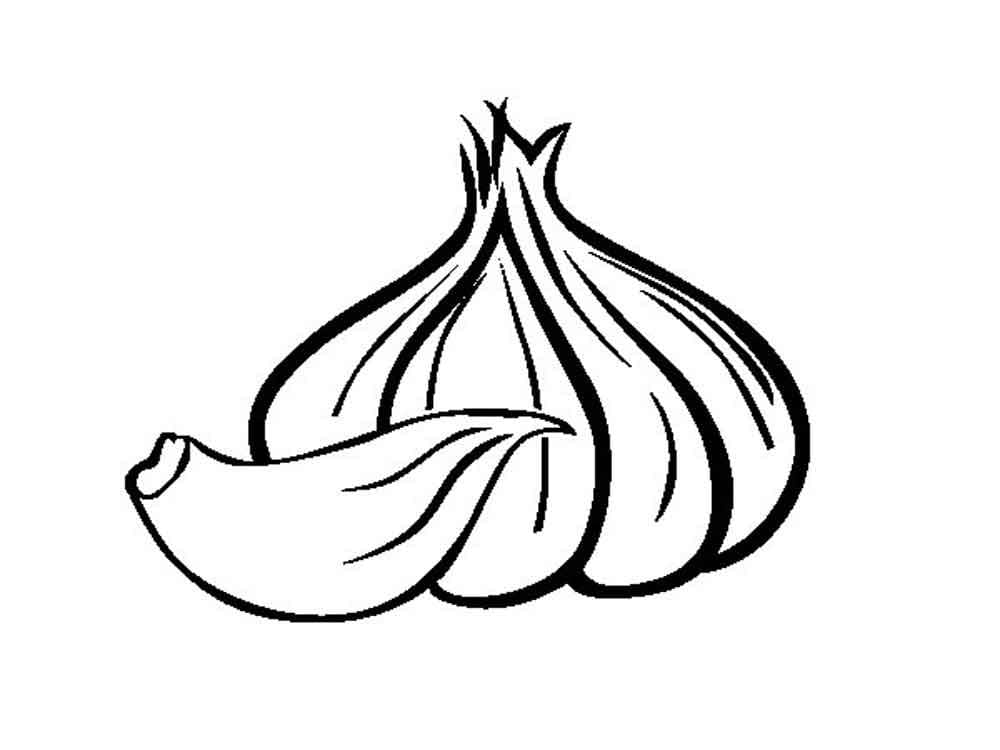 Desenho Alho 10 Para Colorir