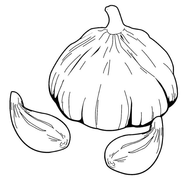 Desenho Alho 11 Para Colorir