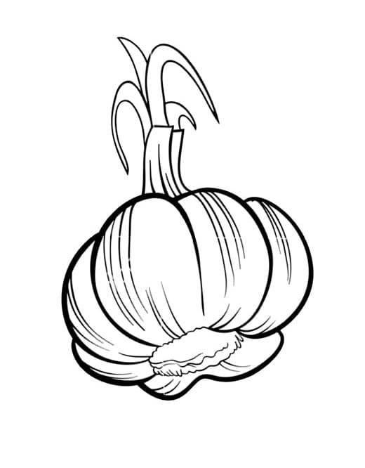 Desenho Alho 12 Para Colorir