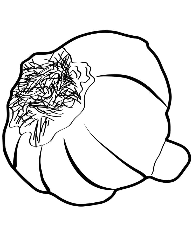 Desenho Alho 4 Para Colorir