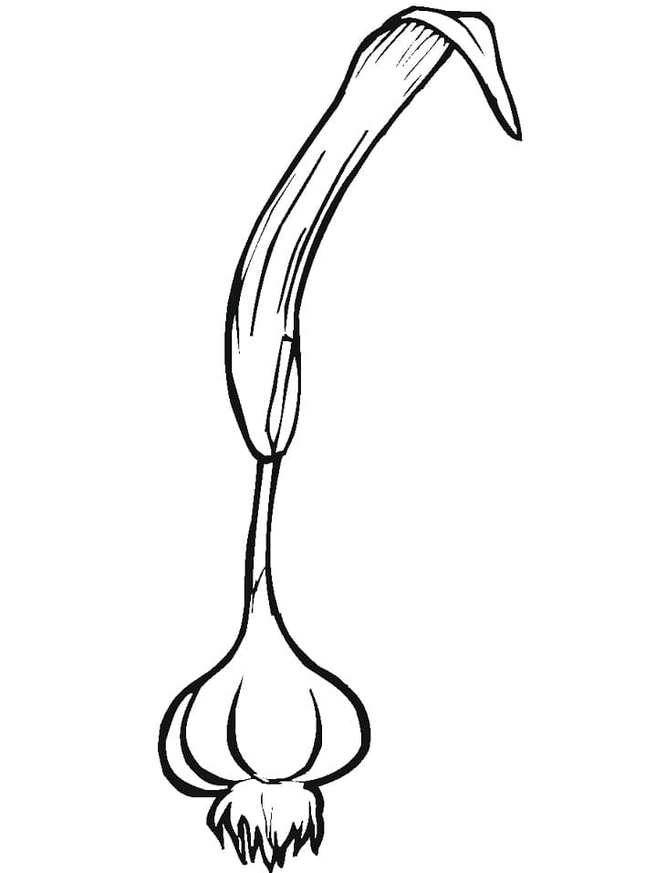 Desenho Alho 6 Para Colorir