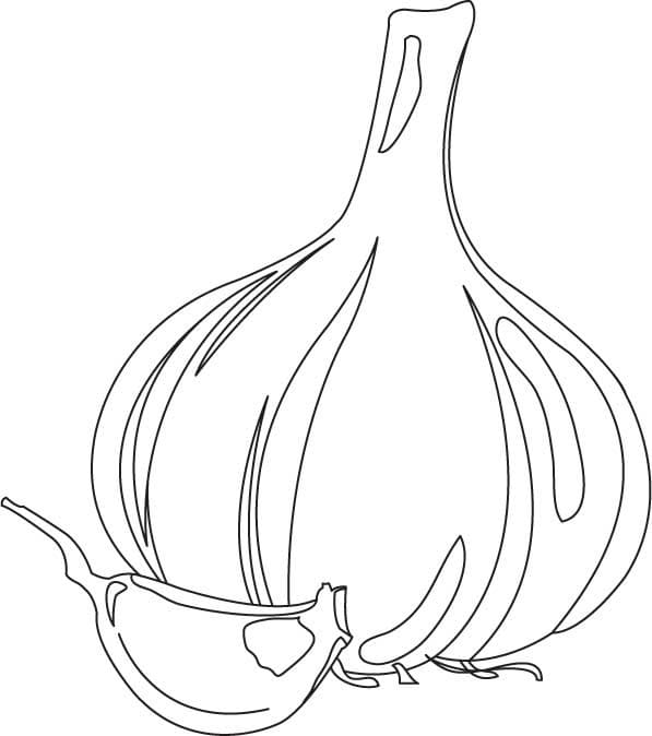 Desenho Alho 8 Para Colorir