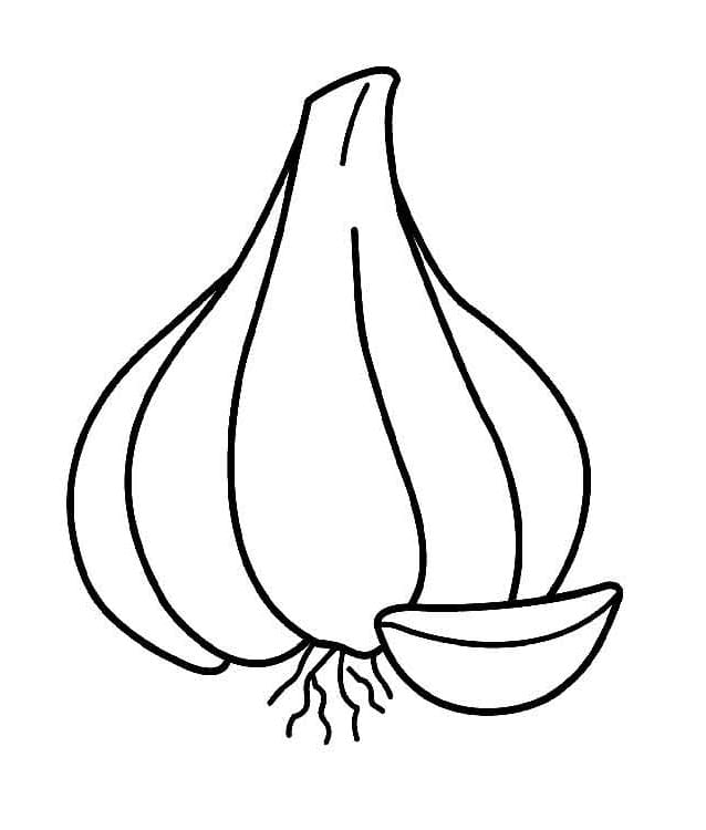 Desenho Alho 9 Para Colorir
