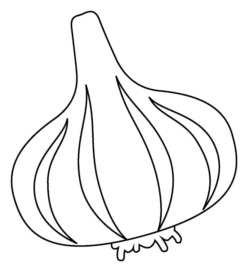 Desenho Alho Simples Para Colorir