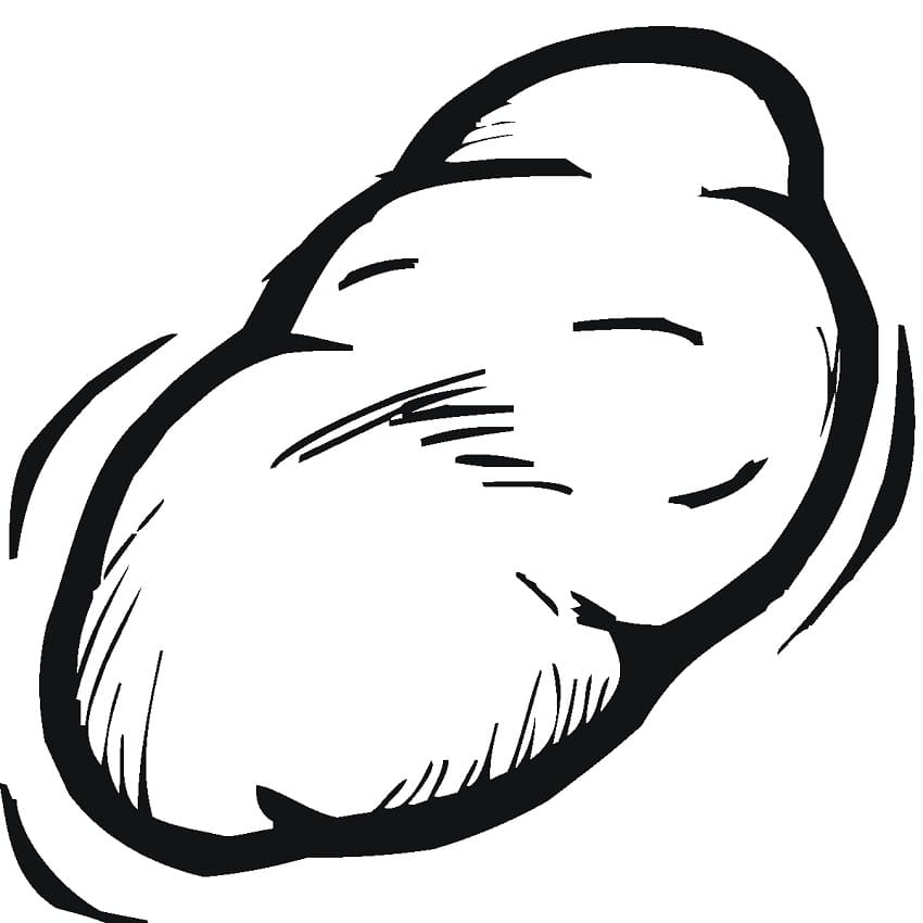 Desenho Batata 3 Para Colorir