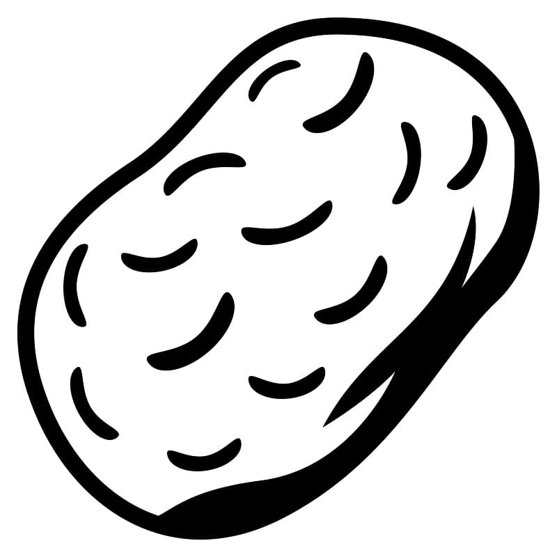 Desenho Uma Batata Para Colorir