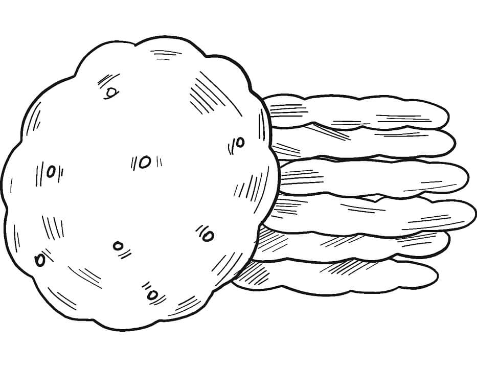 Desenho Biscoitos 3 Para Colorir
