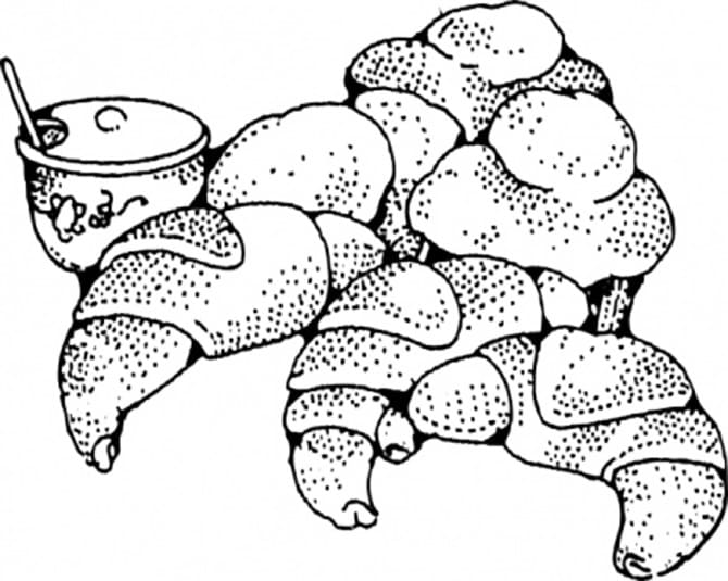 Desenho De Croissants e Muffins Para Colorir