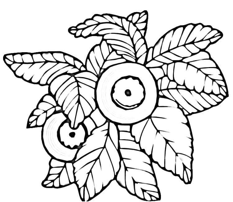 Desenho De Mirtilos Para crianças Para Colorir