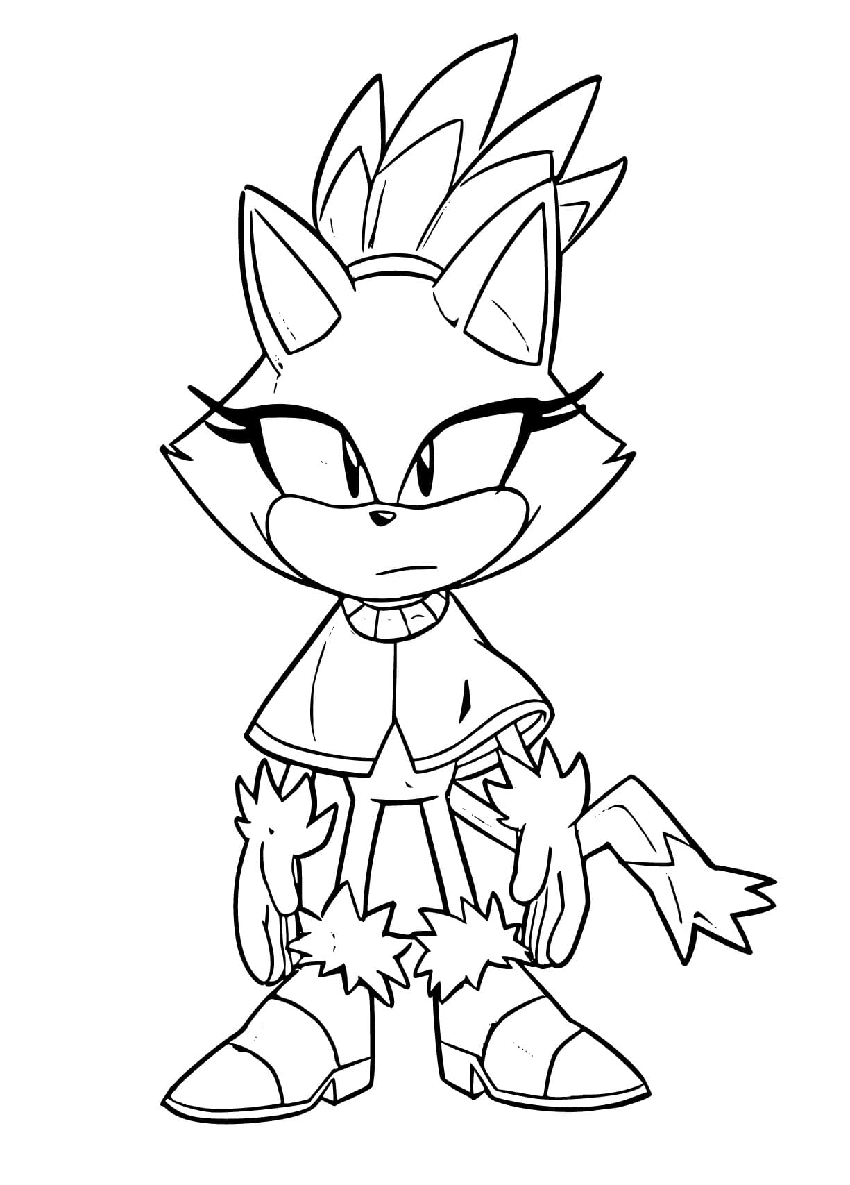 Desenho De Blaze The Cat Para crianças Para Colorir